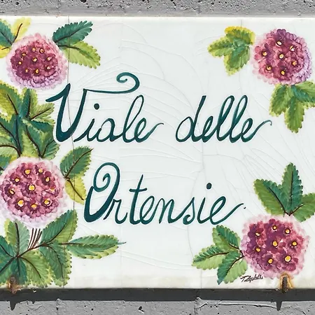 Summer House - Fronte Mare * مارشيللي