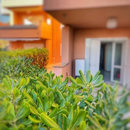 度假居 Summer House - Fronte Mare *